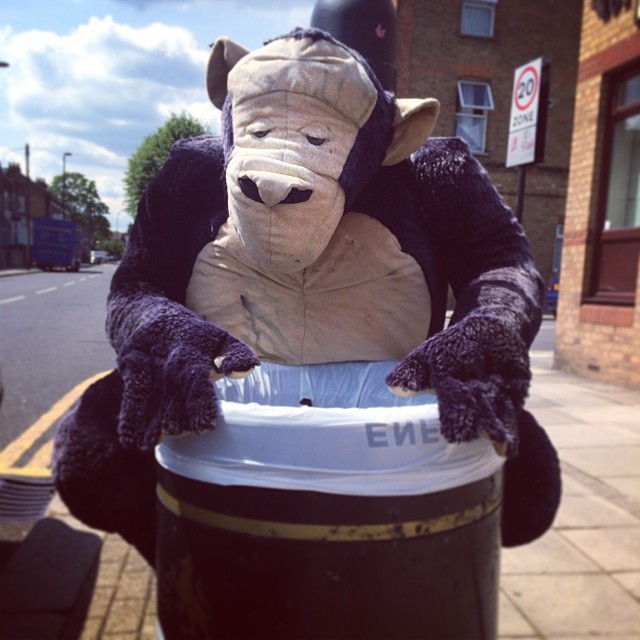 Random monkey bin !! iPhone pic!