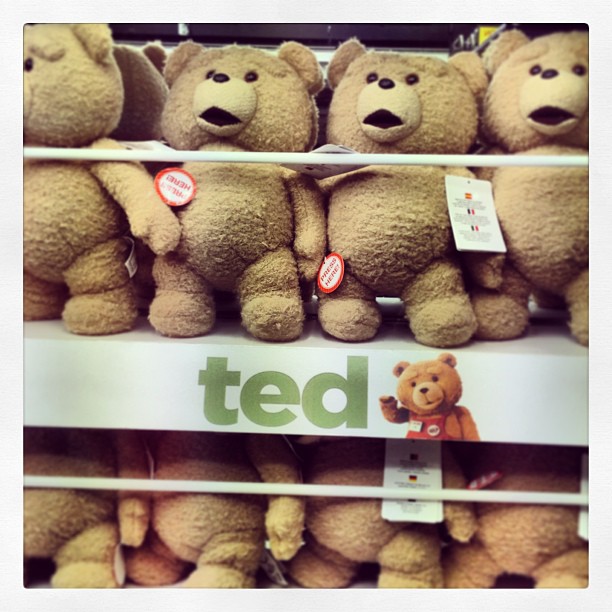 Want a Ted !!