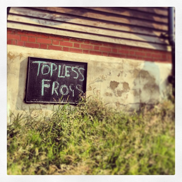 Topless frogs !!